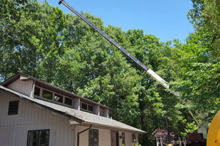 crane service tree removal