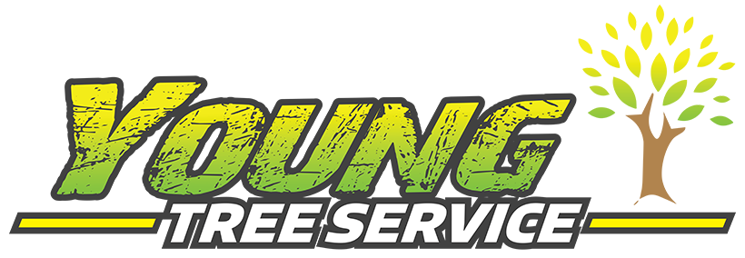 contact young tree service